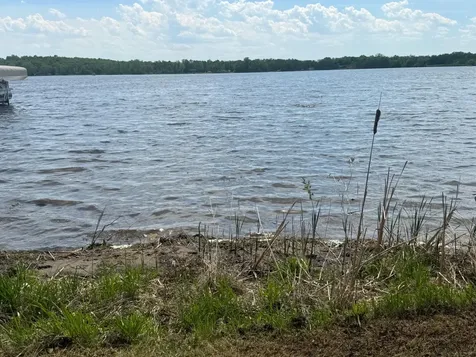 31510 Landing Drive Dent MN 56528