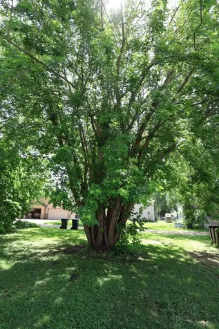 10 E 4th Street Morris MN 56267