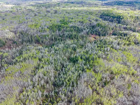 992 Nemadji River Road Holyoke MN 55749