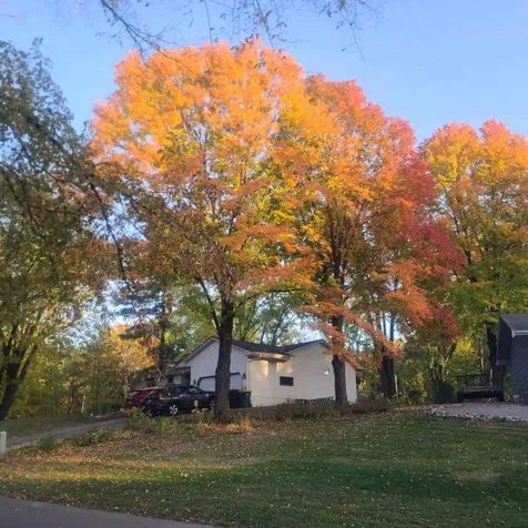 930 Dakota Avenue Long Lake MN 55356