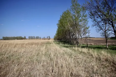 Tbd 150th Street Canby MN 56220