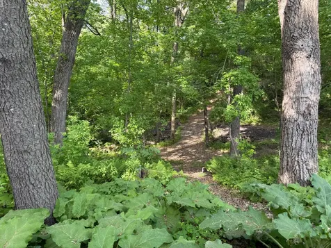 20663 Ulysses Street NW Elk River MN 55330