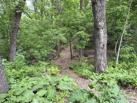 20663 Ulysses Street NW Elk River MN 55330