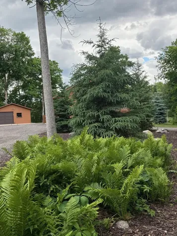 940 Maple Crest Drive NW Hackensack MN 56452