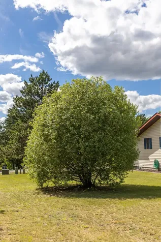 6834 Dickinson Drive NW Bemidji MN 56601