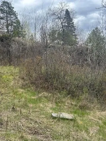 95642 Pine Island Tower MN 55790