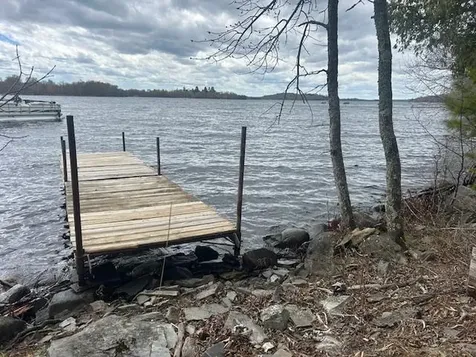 95642 Pine Island Tower MN 55790