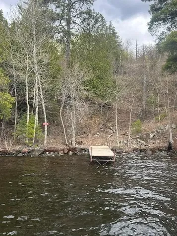 95642 Pine Island Tower MN 55790