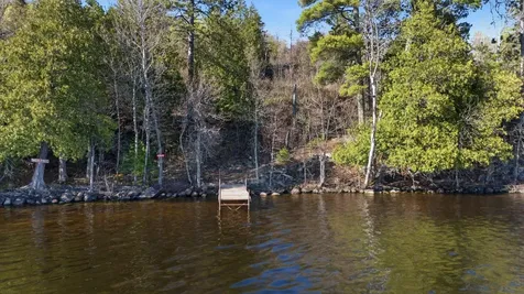 95642 Pine Island Tower MN 55790