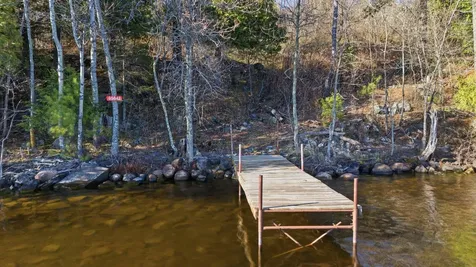 95642 Pine Island Tower MN 55790