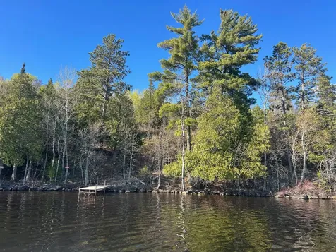 95642 Pine Island Tower MN 55790
