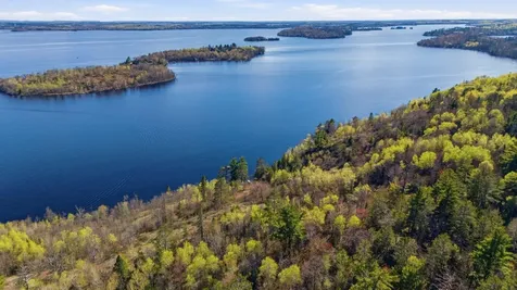 95642 Pine Island Tower MN 55790