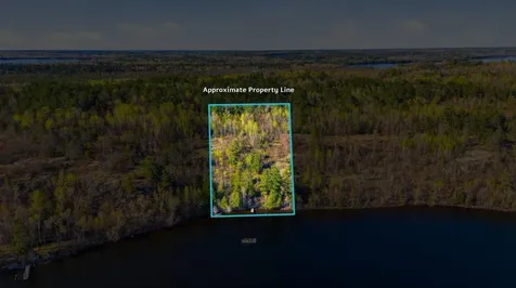 95642 Pine Island Tower MN 55790