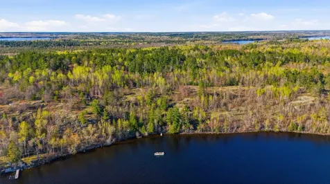 95642 Pine Island Tower MN 55790