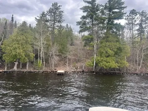 95642 Pine Island Tower MN 55790