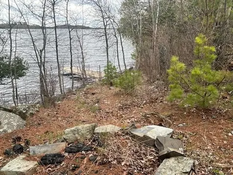 95642 Pine Island Tower MN 55790
