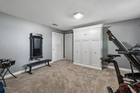 4704 S Lake Sarah Drive Independence MN 55359
