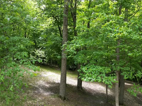 46885 260th Avenue Vergas MN 56587