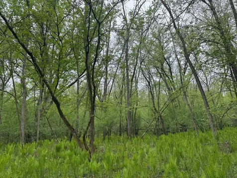 138XX Highway 23 Milaca MN 56353
