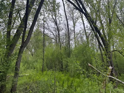 138XX Highway 23 Milaca MN 56353
