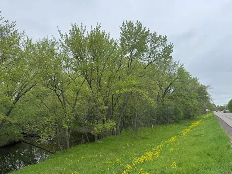 138XX Highway 23 Milaca MN 56353