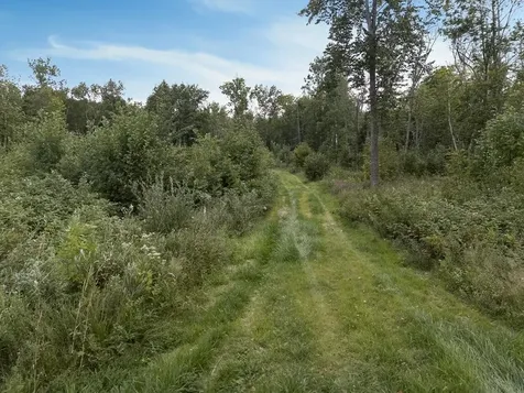 280 S Lake Lawrence Road NE Outing MN 56662