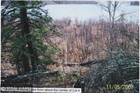 5XXXX Moose Bay Trail Northome MN 56661