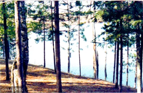 6XXXX Moose Bay Trail Northome MN 56661