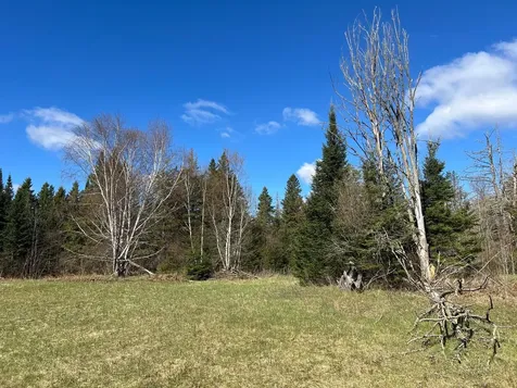 12905 Township Road D Wawina MN 55736