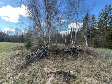 12905 Township Road D Wawina MN 55736