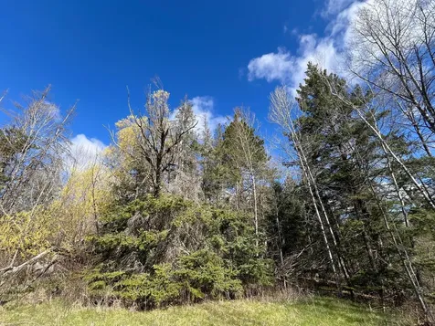 12905 Township Road D Wawina MN 55736