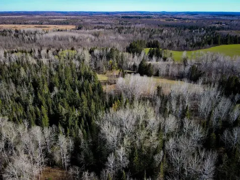 12905 Township Road D Wawina MN 55736