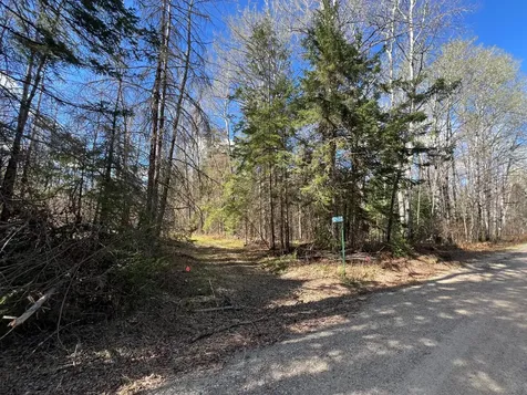 12905 Township Road D Wawina MN 55736
