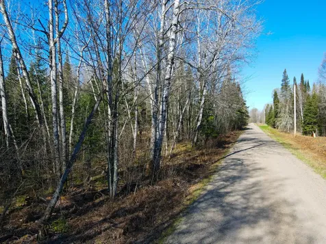 Parcel A Township Road D Wawina MN 55736