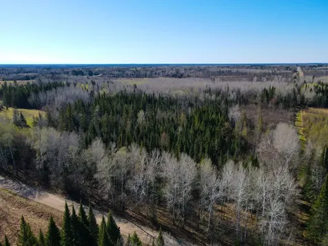 Parcel A Township Road D Wawina MN 55736