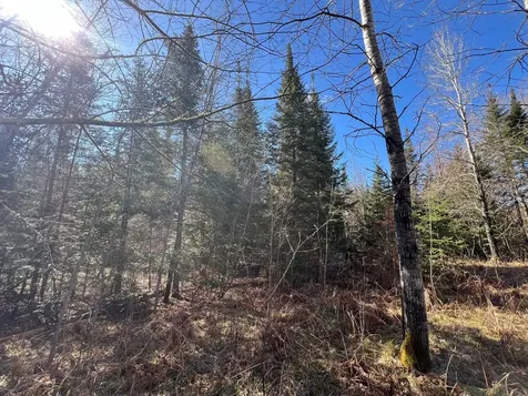 Parcel A Township Road D Wawina MN 55736