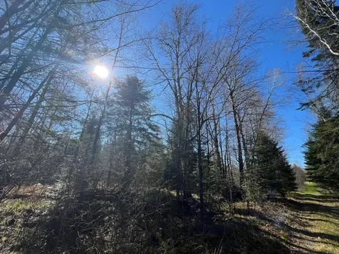Parcel A Township Road D Wawina MN 55736
