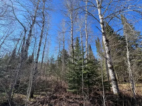 Parcel A Township Road D Wawina MN 55736