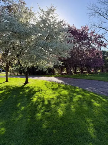 1200 Ferndale Road N Plymouth MN 55447