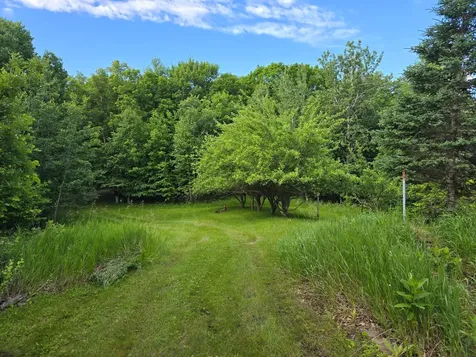 50050 Leek Lake Drive Vergas MN 56587