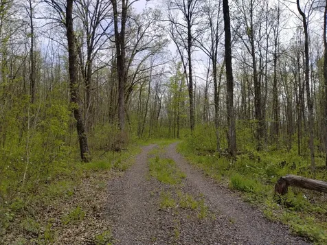 2263 280th Avenue Brook Park MN 55007