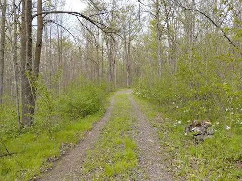 2263 280th Avenue Brook Park MN 55007