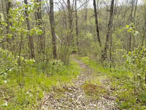 2263 280th Avenue Brook Park MN 55007