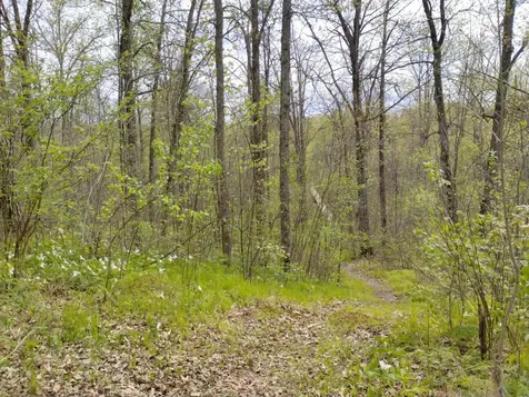 2263 280th Avenue Brook Park MN 55007