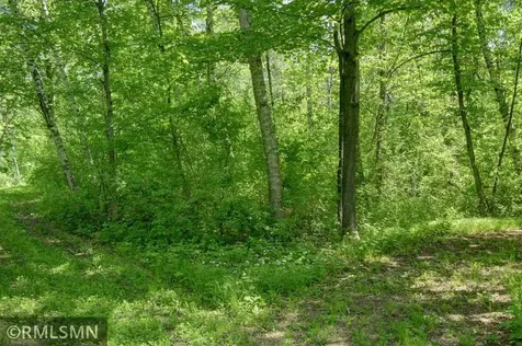 654 115th Street Amery WI 54001