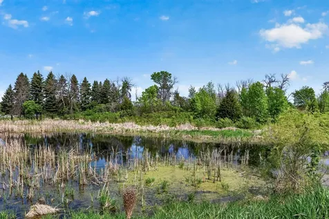 21203 Pinto Place Forest Lake MN 55025