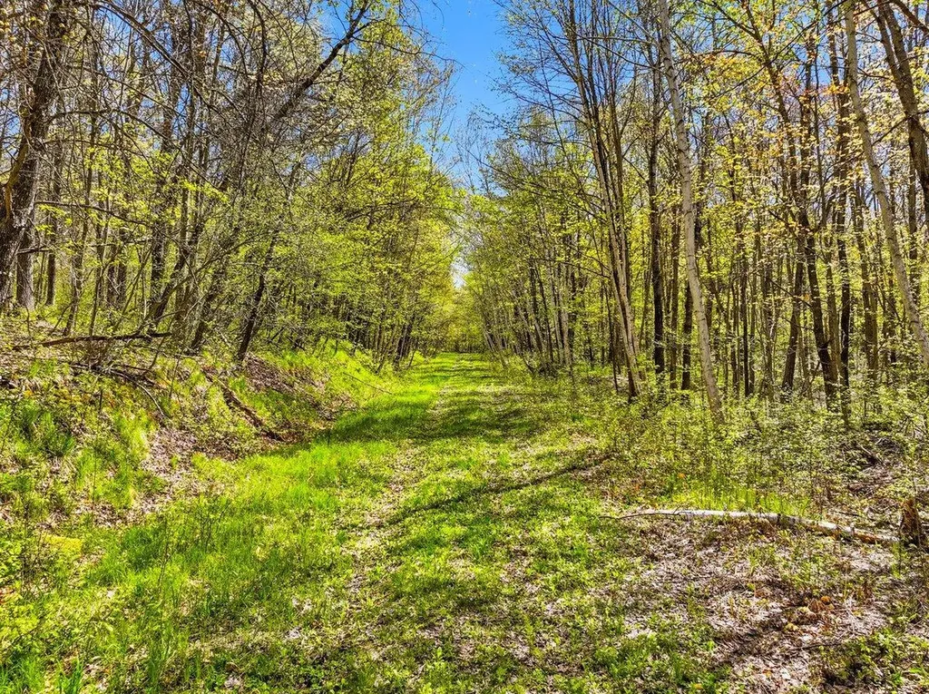W6474 River Road Trego WI 54888