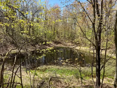 W6474 River Road Trego WI 54888