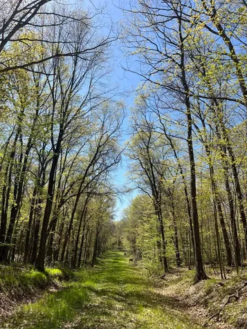 W6474 River Road Trego WI 54888