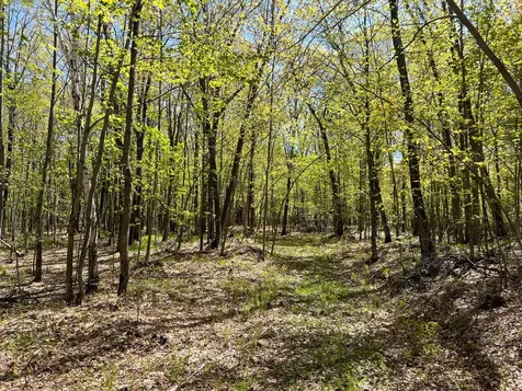 W6474 River Road Trego WI 54888